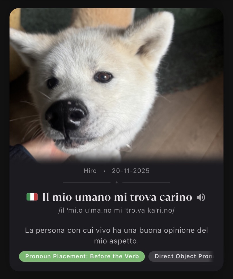 Talivo card generated from a dog photo
